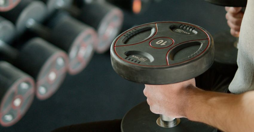 Weight Benches - Person Holding Black Dumbbells