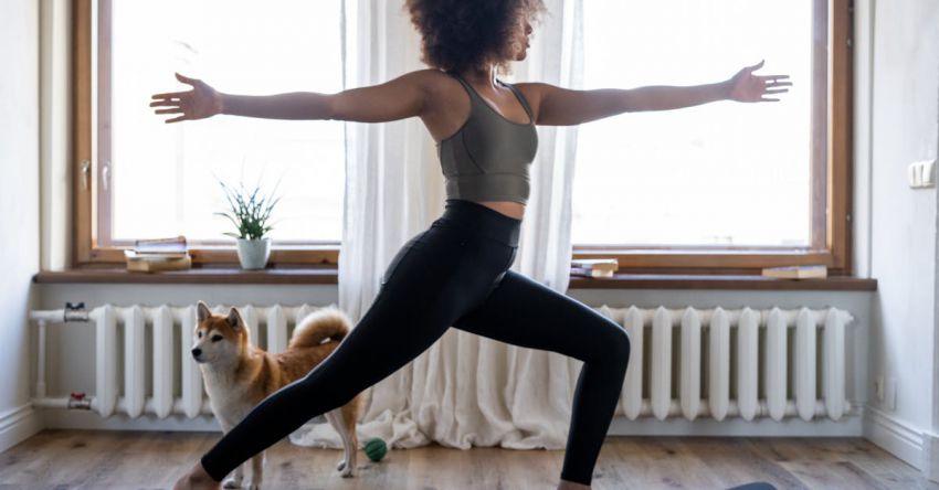 Home Gyms - Free stock photo of afro, afro hair, animal